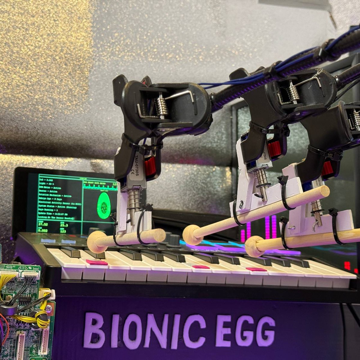 Bionic Egg tweet media