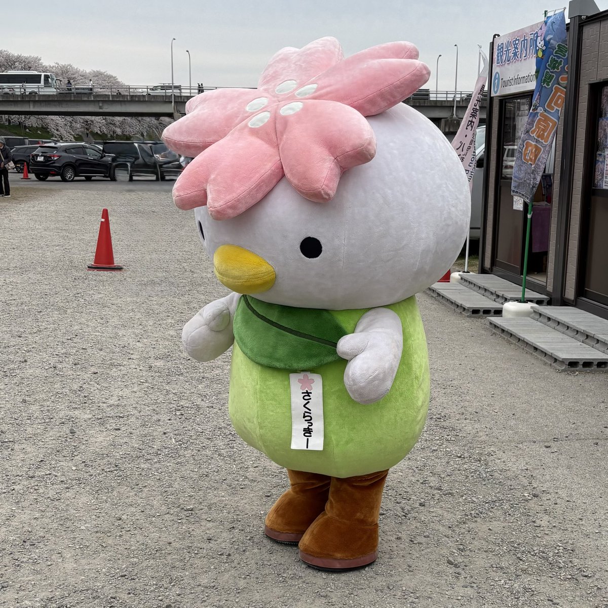 岩間瞳／宮城のフリーアナウンサー🎤 tweet media