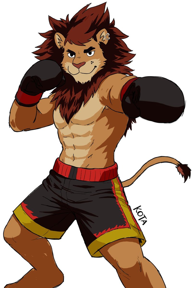 Køtarō tweet media