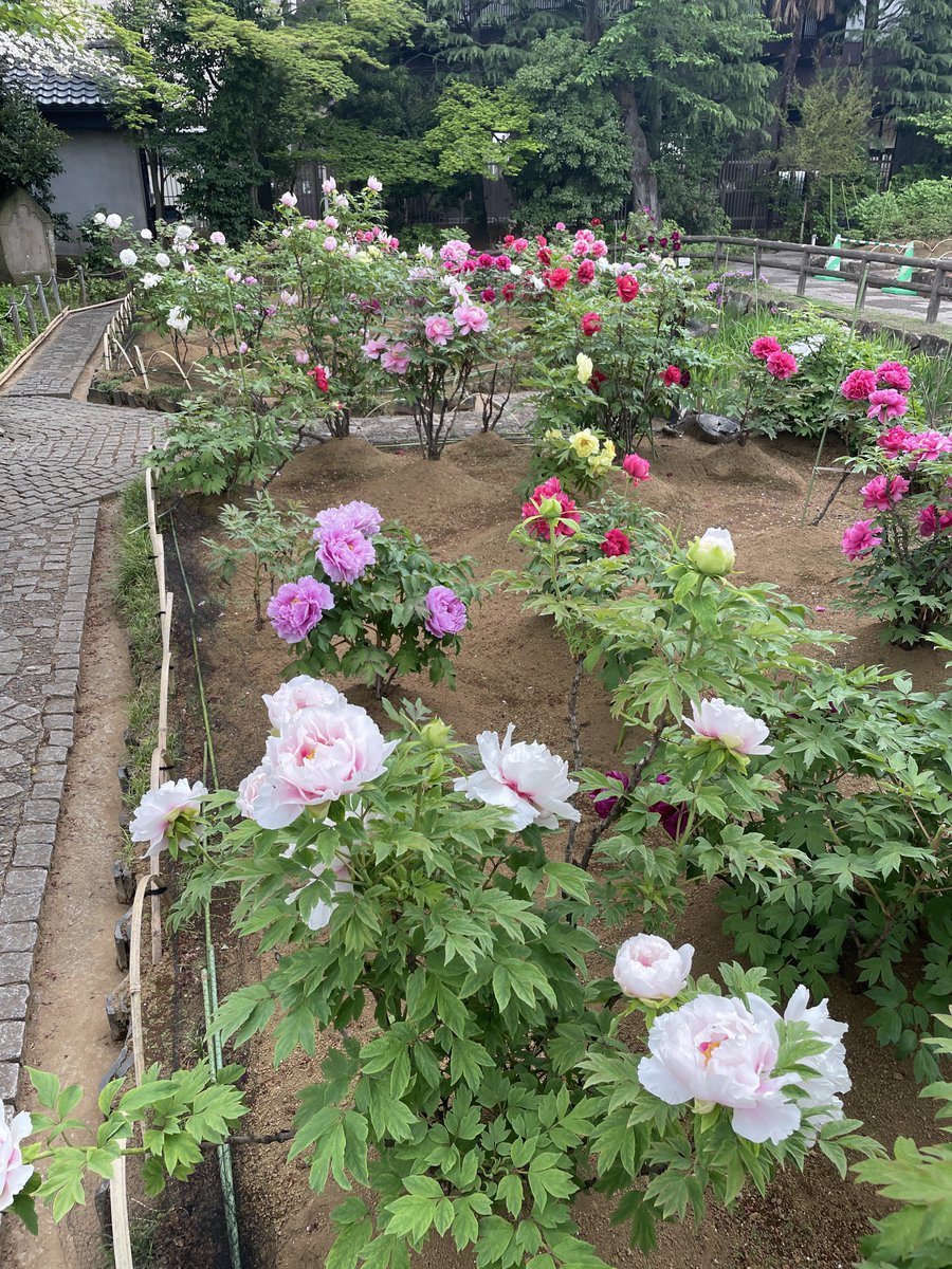 angelincream's tweet photo. 丁寧に作られたお庭 https://t.co/4Y67yZWzsD