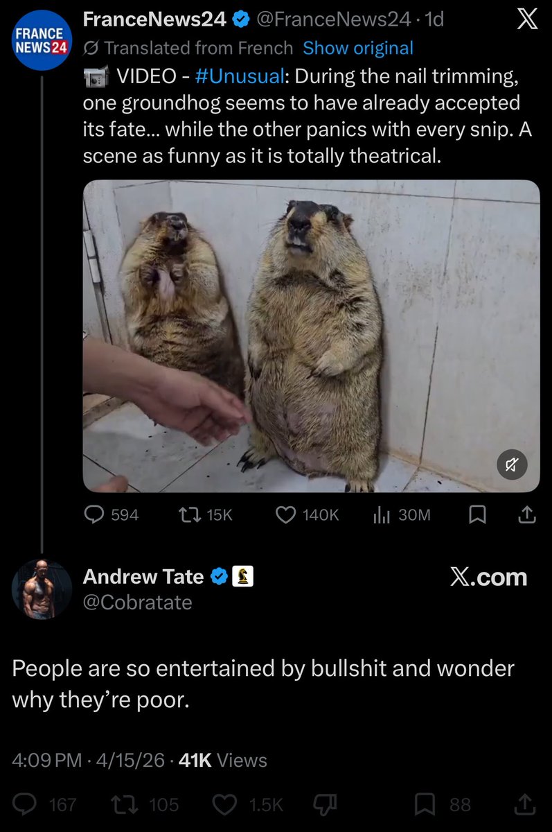 HowlingMutant tweet media