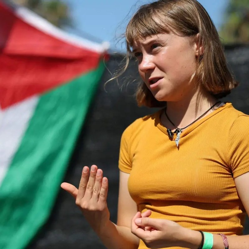 Mundo en Conflicto 🌎 tweet media