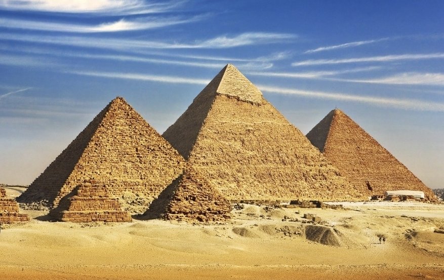 ✨️AreOhEssEyeEe✨️ tweet media