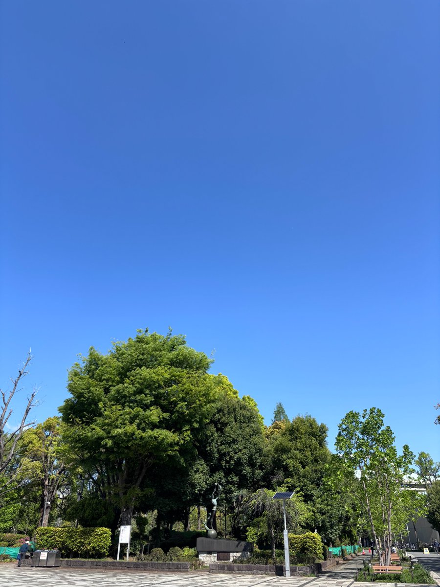 HokutoVideo's tweet photo. おはようございます😊

会社の裏手にある公園、
木々の緑色が鮮やかな季節になりました🌳
青空に映えますね

ずっと見ていたくなります😊

#企業公式
#企業公式相互フォロー 
#BtoB販促動画 
#教育動画 https://t.co/8yVgU0h48j