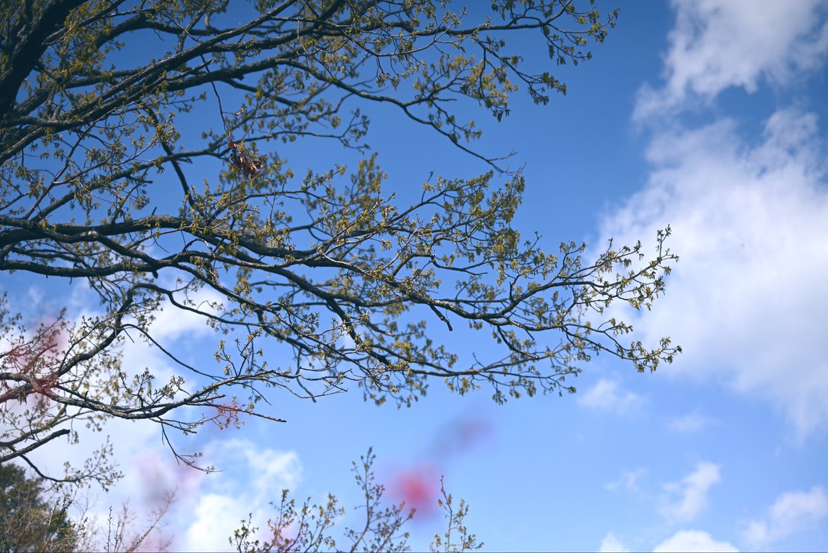 ゆのママ tweet media