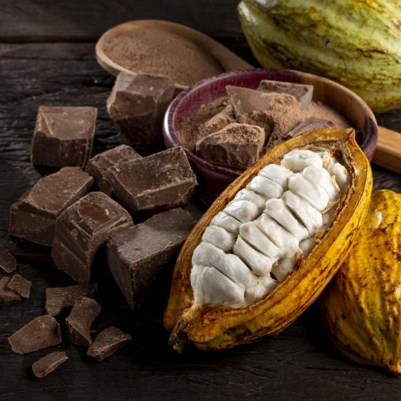 République tweet media