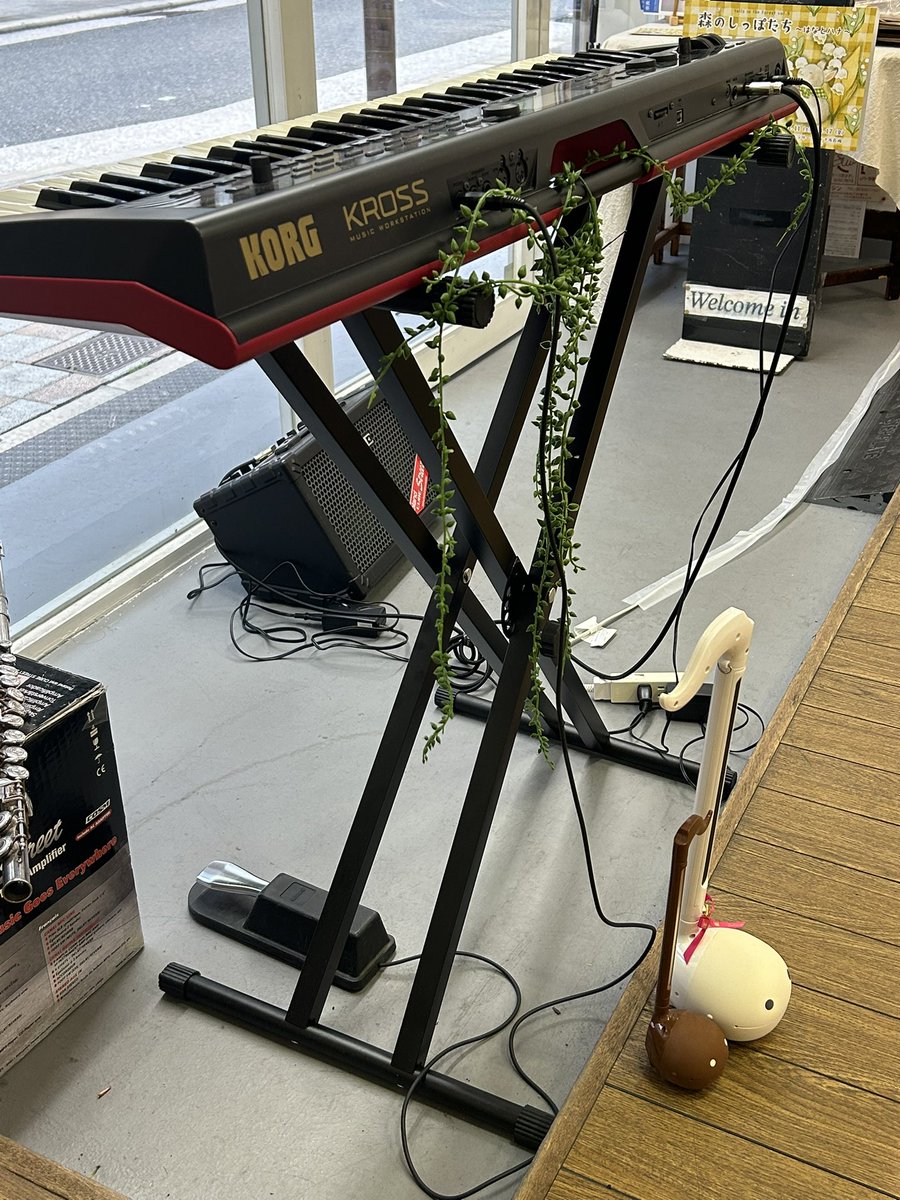 小林美代子/Miyoko Kobayashi tweet media