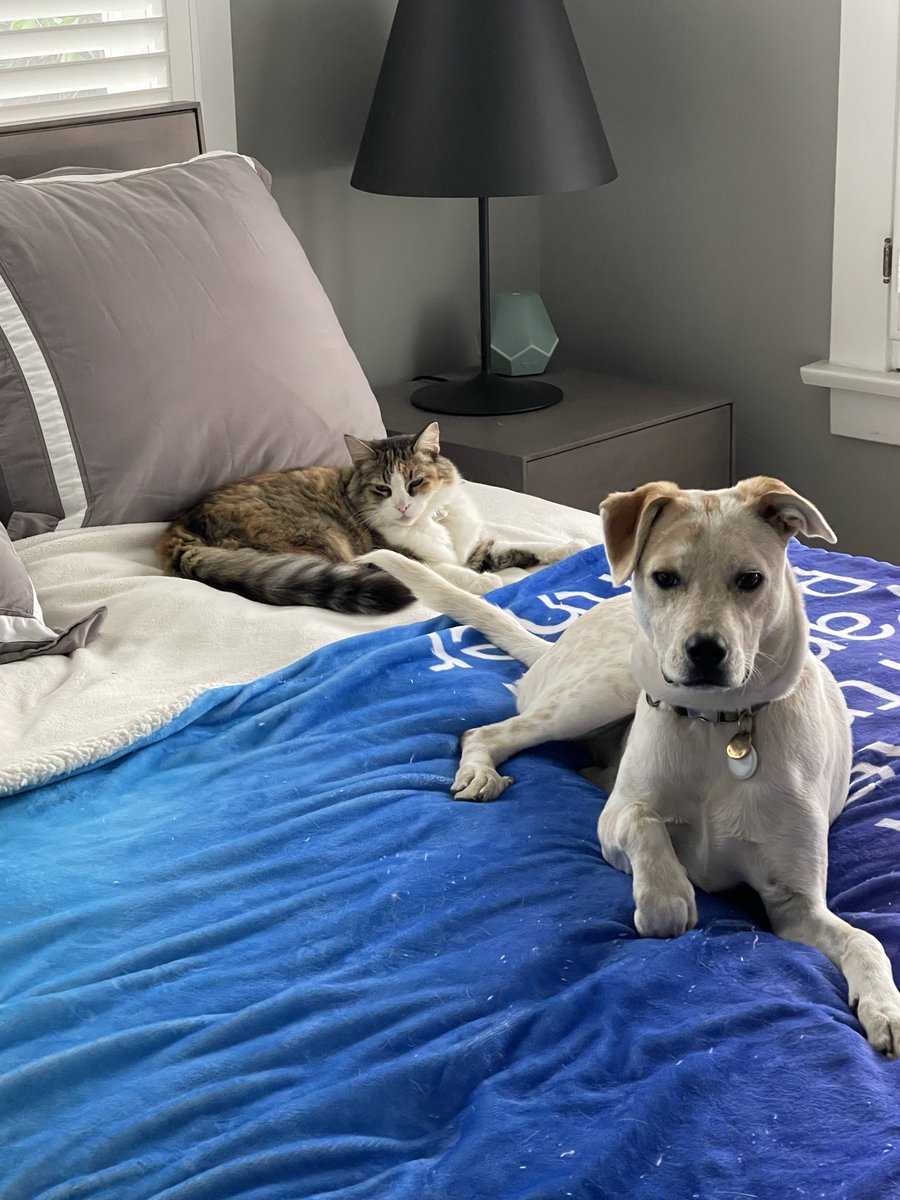 Spinachee tweet media