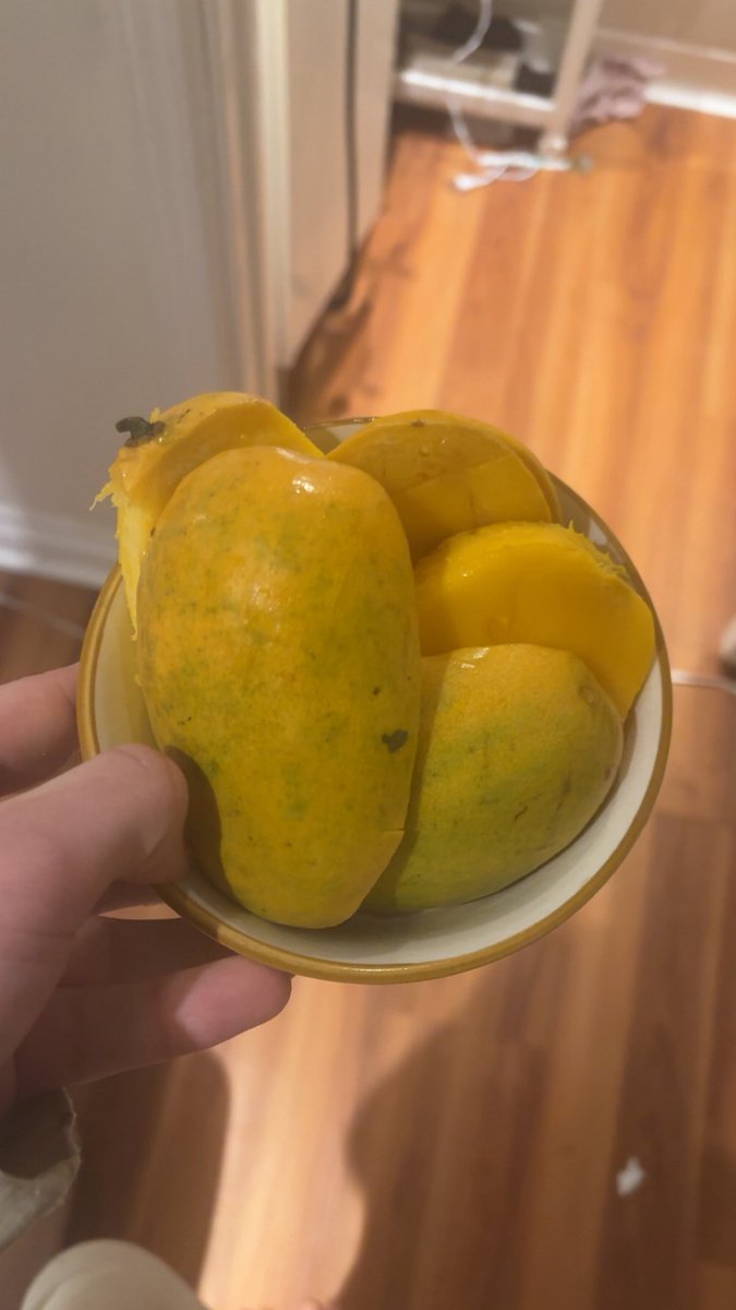 slinkycat tweet media