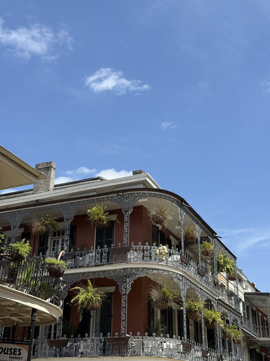 LauraEnAmerica tweet media