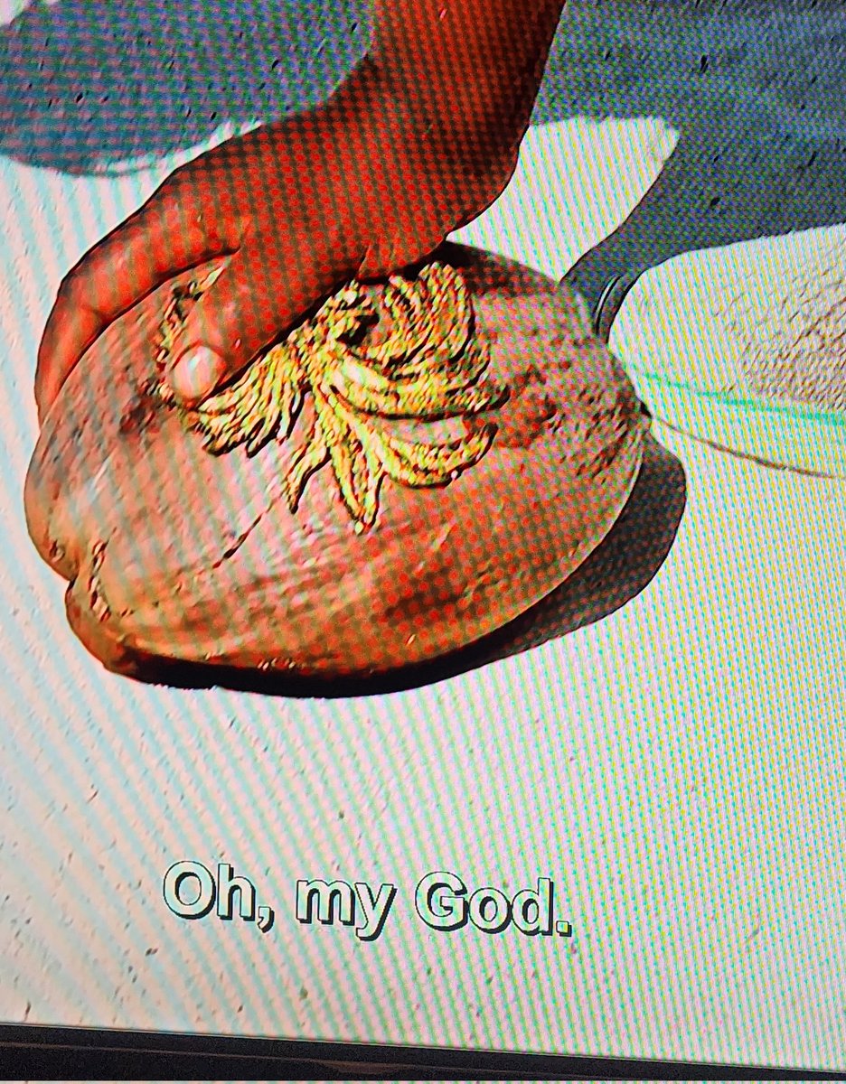 Jessica Lewis tweet media