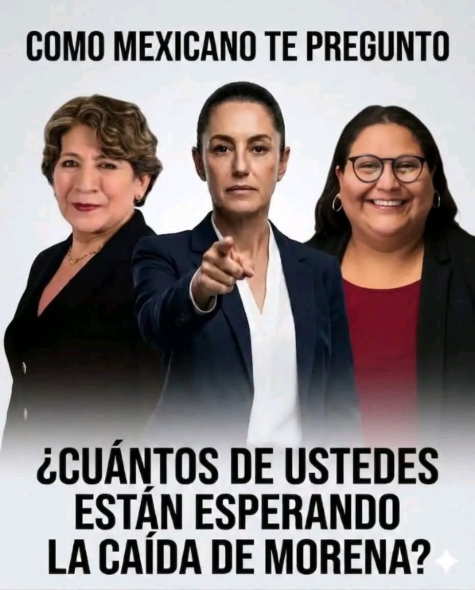 josexebex tweet media