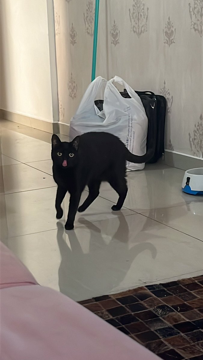 hwei quer platinar RE 🏳️‍⚧️ tweet media