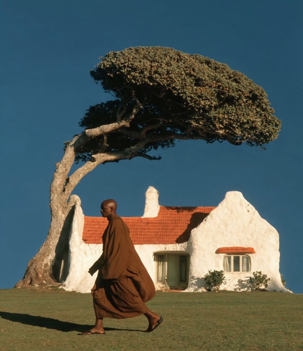 PmAmTraveller tweet media