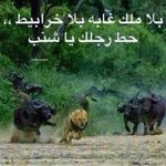 Abdullah tweet media