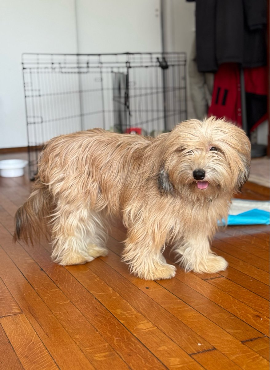 Sophie Vershbow tweet media