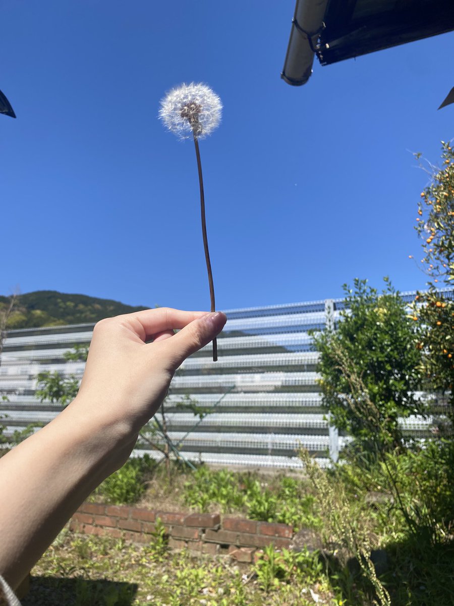 ๐ต๐ด๐ถ tweet media