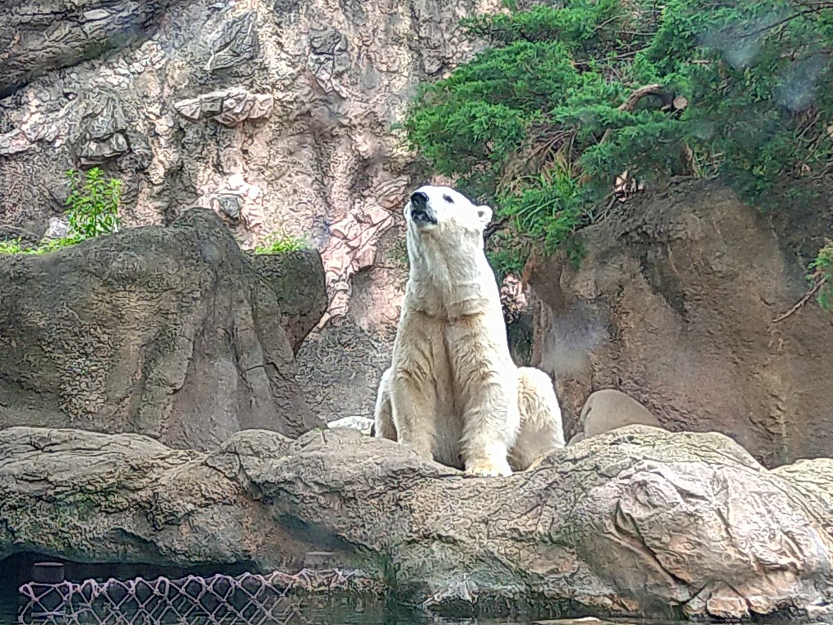 shio kirimura tweet media