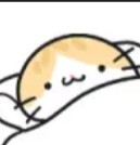 J7ang 🤯 play eternal return tweet media