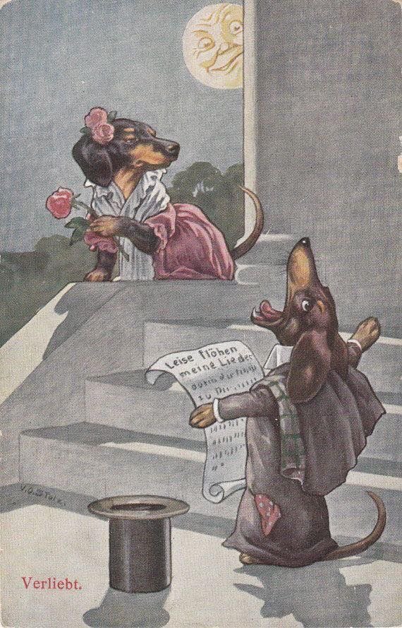 PmAmTraveller tweet media