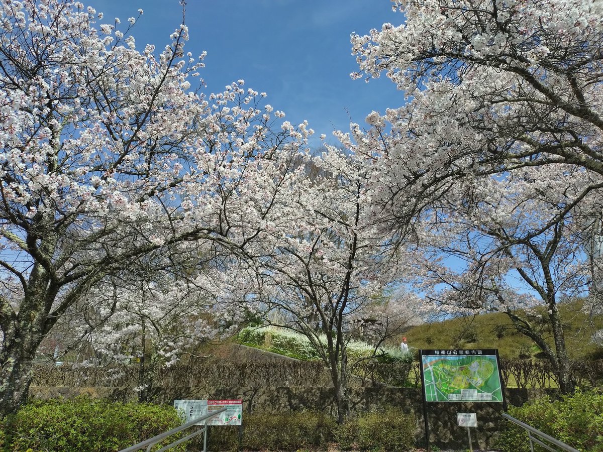 麺匠文蔵総本店　高見澤 順次 tweet media