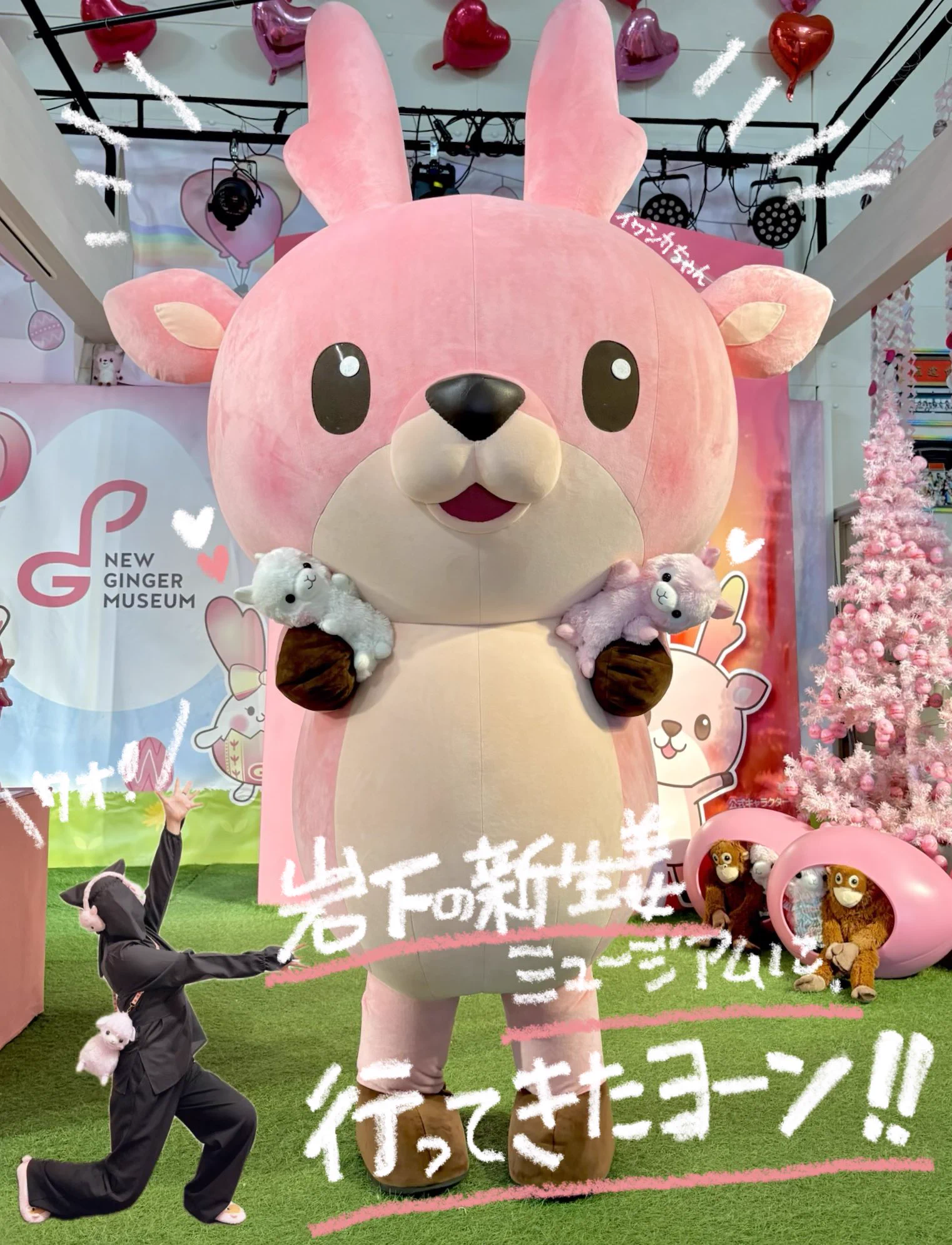 アミューズ AMUFUN【公式】 on X: 
