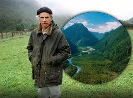 Self Upgrade tweet media