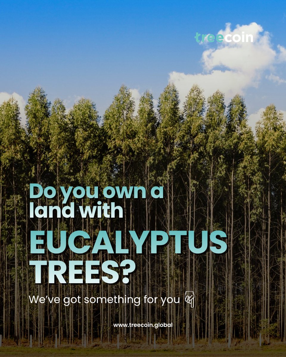 TreeCoin Global tweet media