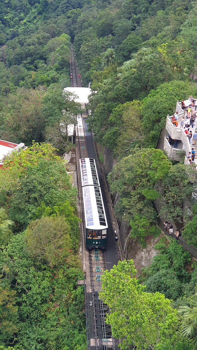 코코볼 tweet media