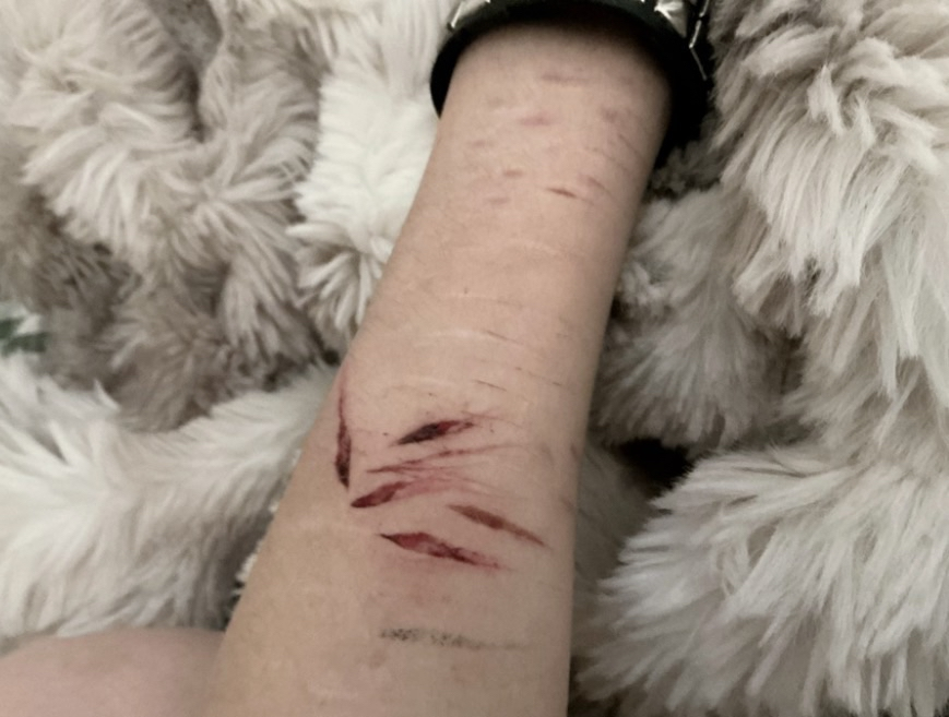 𝑢𝑠ℎ𝑘𝑎 𝑜𝑓 𝑠ℎ𝑡𝑤𝑡 .𖥔 ݁ ˖ tweet media