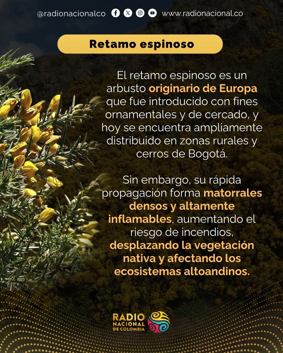 Radio Nacional CO tweet media