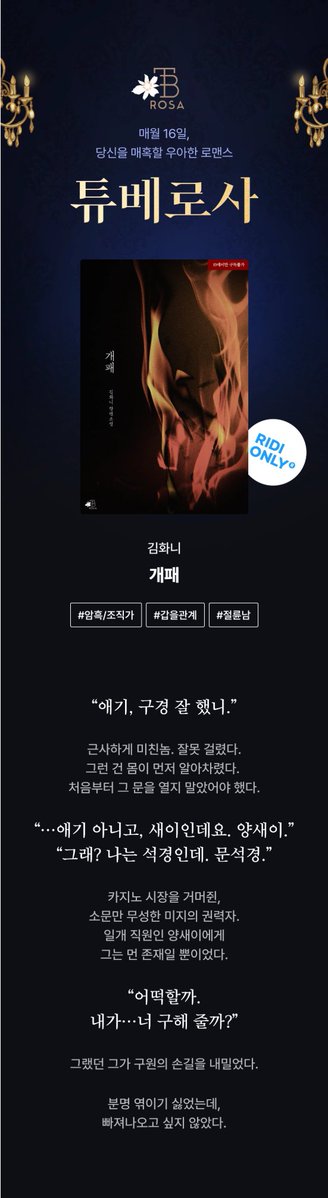 테라핀 웹소설 tweet media