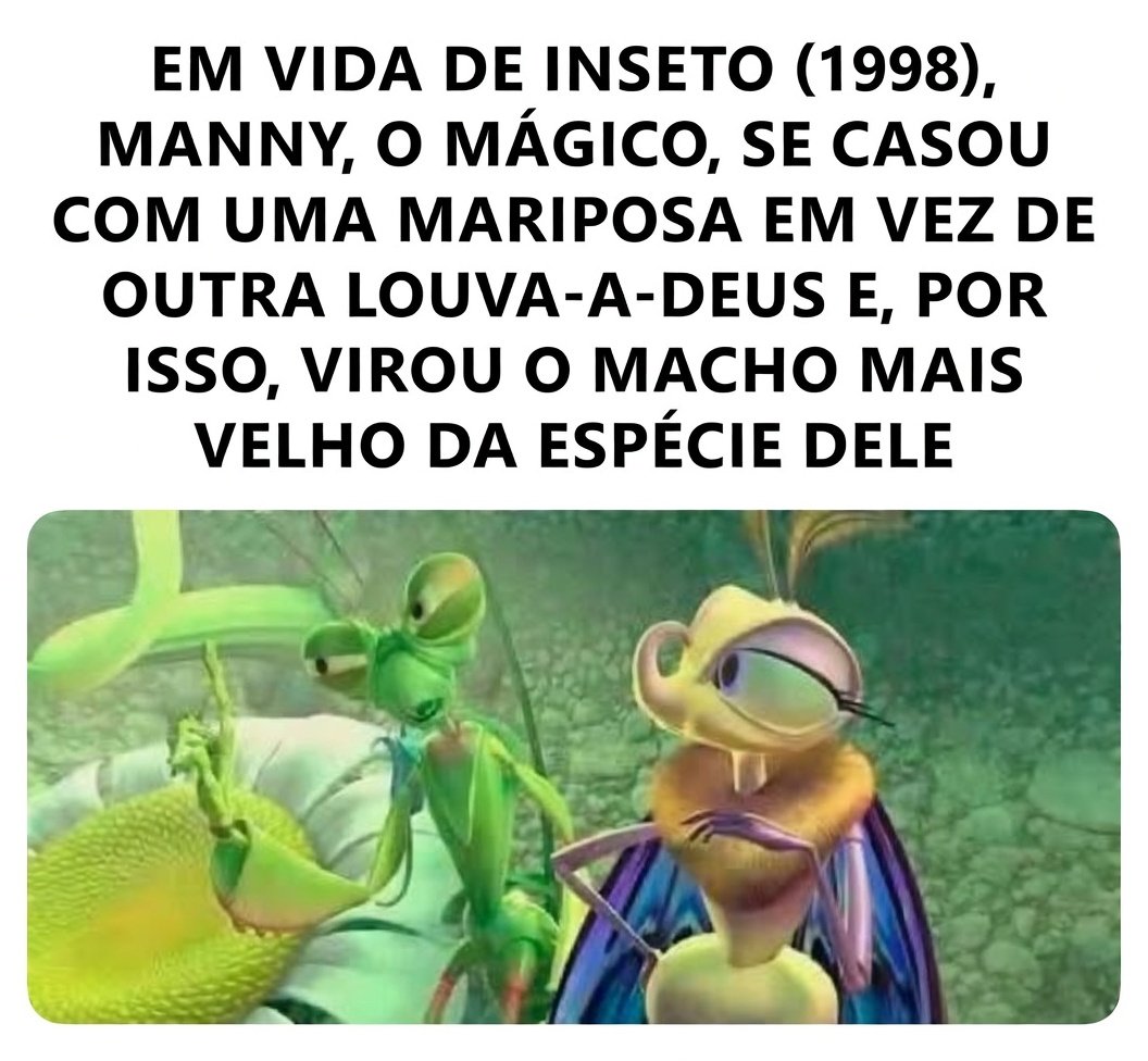 O Pinto Marcando ® tweet media