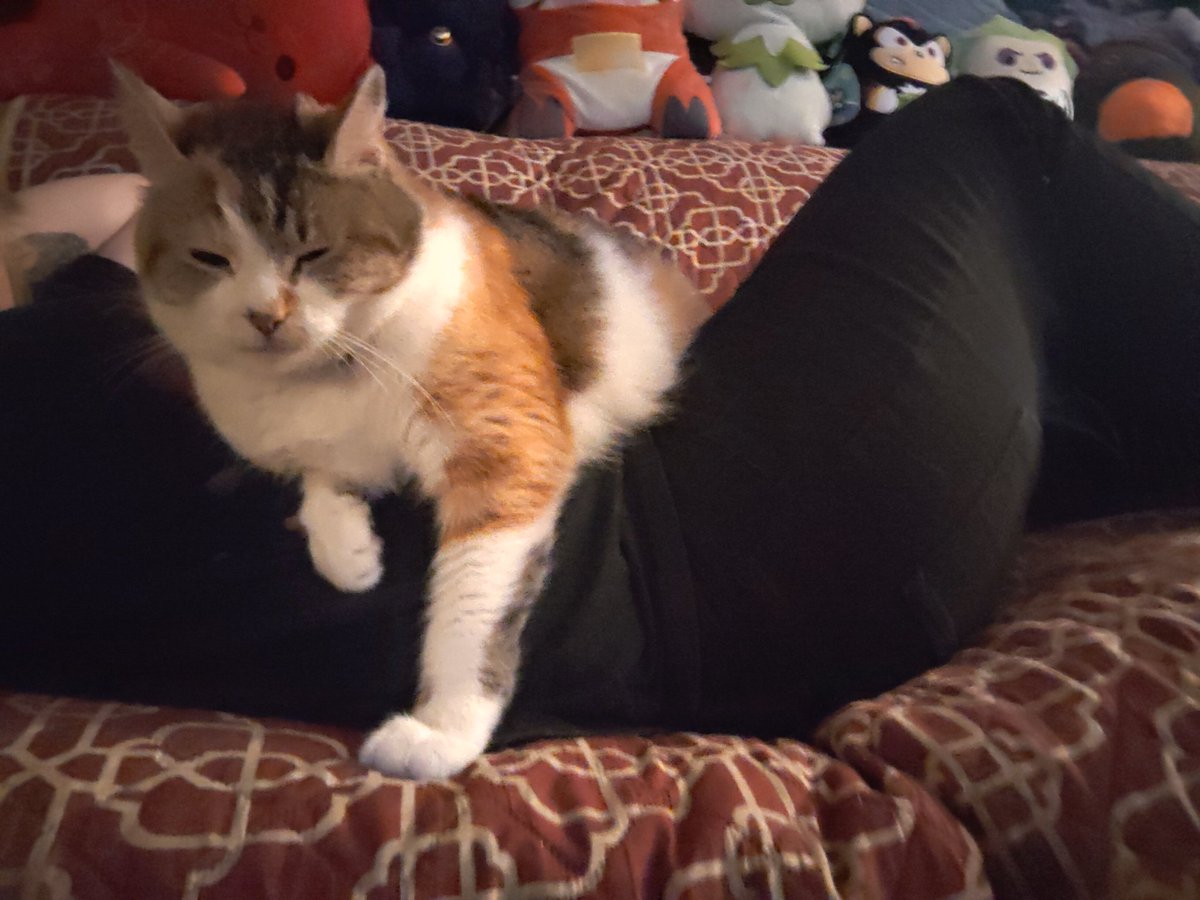 Coffee Coma tweet media