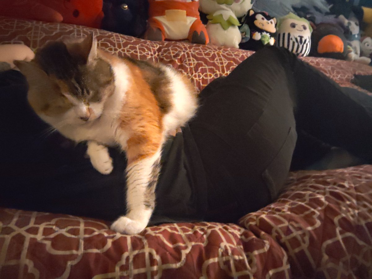 Coffee Coma tweet media