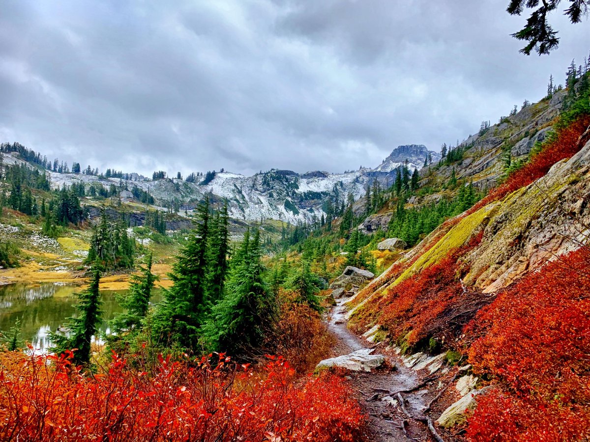 QuieroViajarGo's tweet image. Qué ganas de perderme en senderos así, rodeado de colores y naturaleza pura 🍂🌲. ¡Viajar y respirar aire fresco siempre recarga el alma! #Aventuras #Montañas #Naturaleza

#QuieroEstarAhi y #QuieroViajar