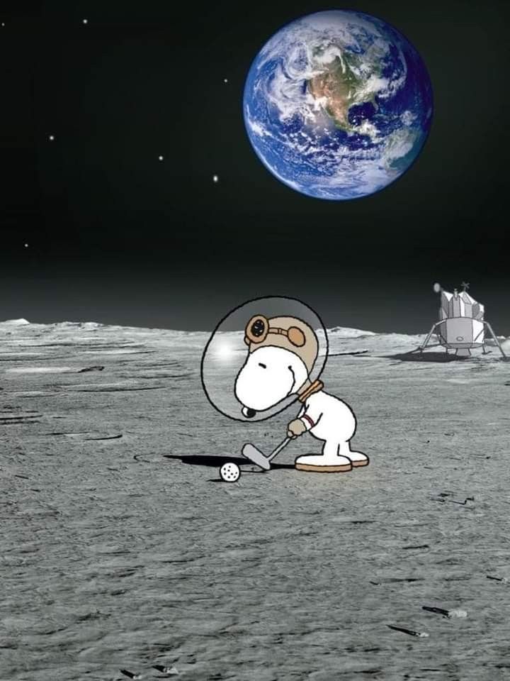 Snoopy 🐶 tweet media