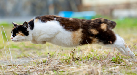 ️️️️️️️️️️️️️️️️ ︎︎ ︎︎ ︎︎ ︎︎ tweet media