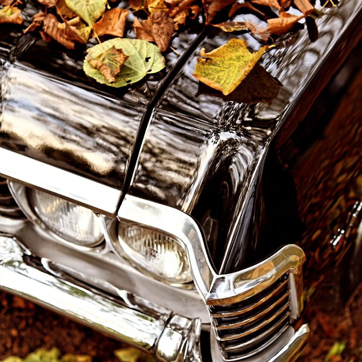 Dean Winchester 🏳️‍⚧️ tweet media