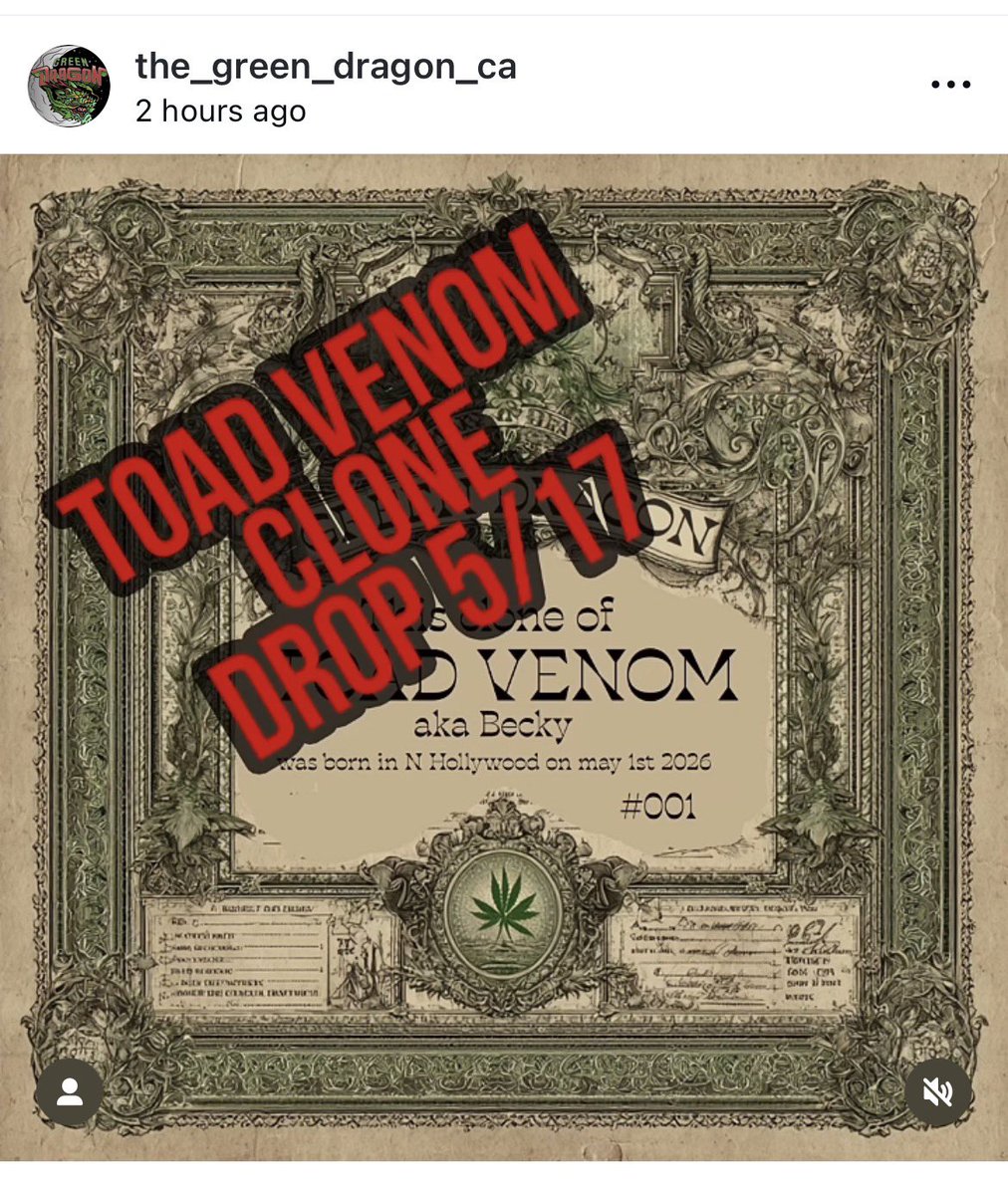 Green Dragon OG tweet media