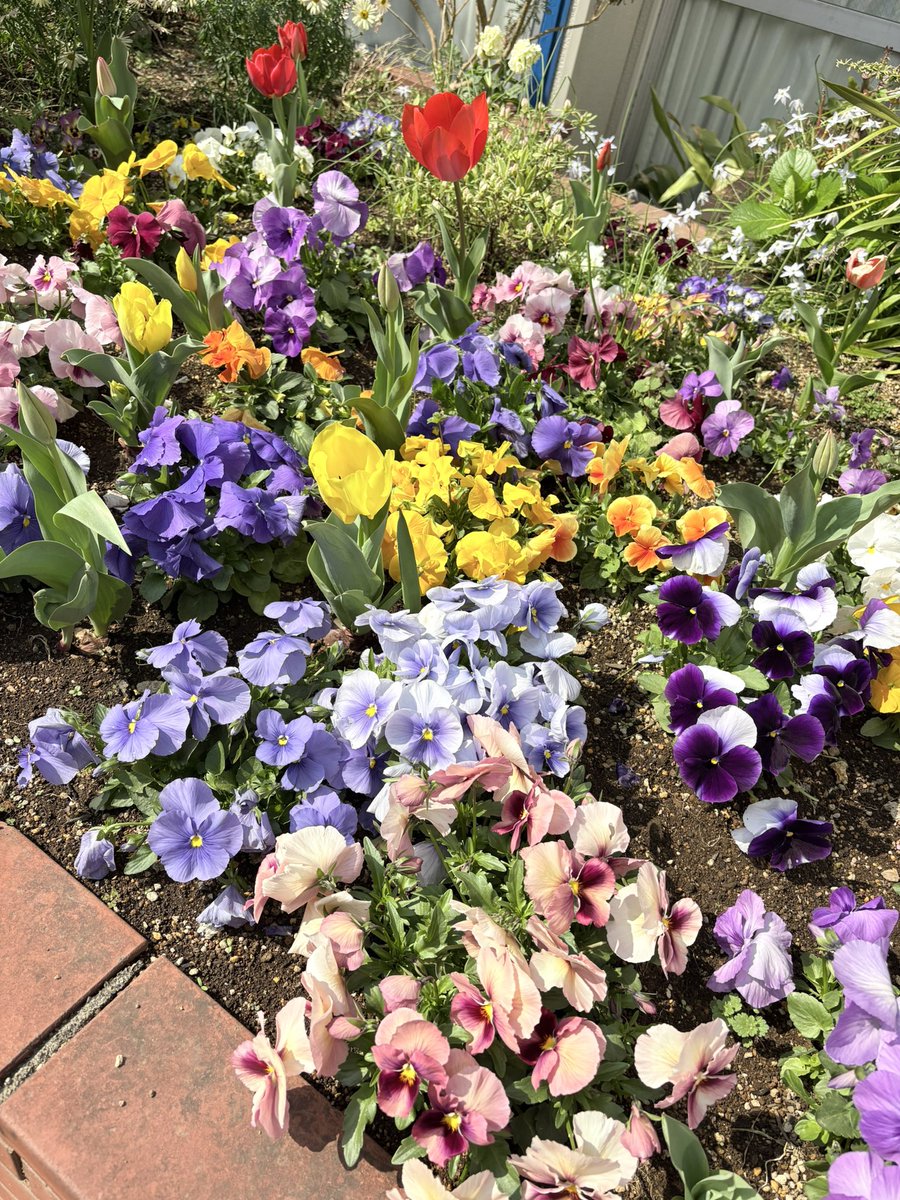 神奈木智 守護者シリーズ最終巻執筆中！ tweet media