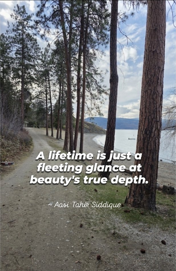 Beauty in the pause.