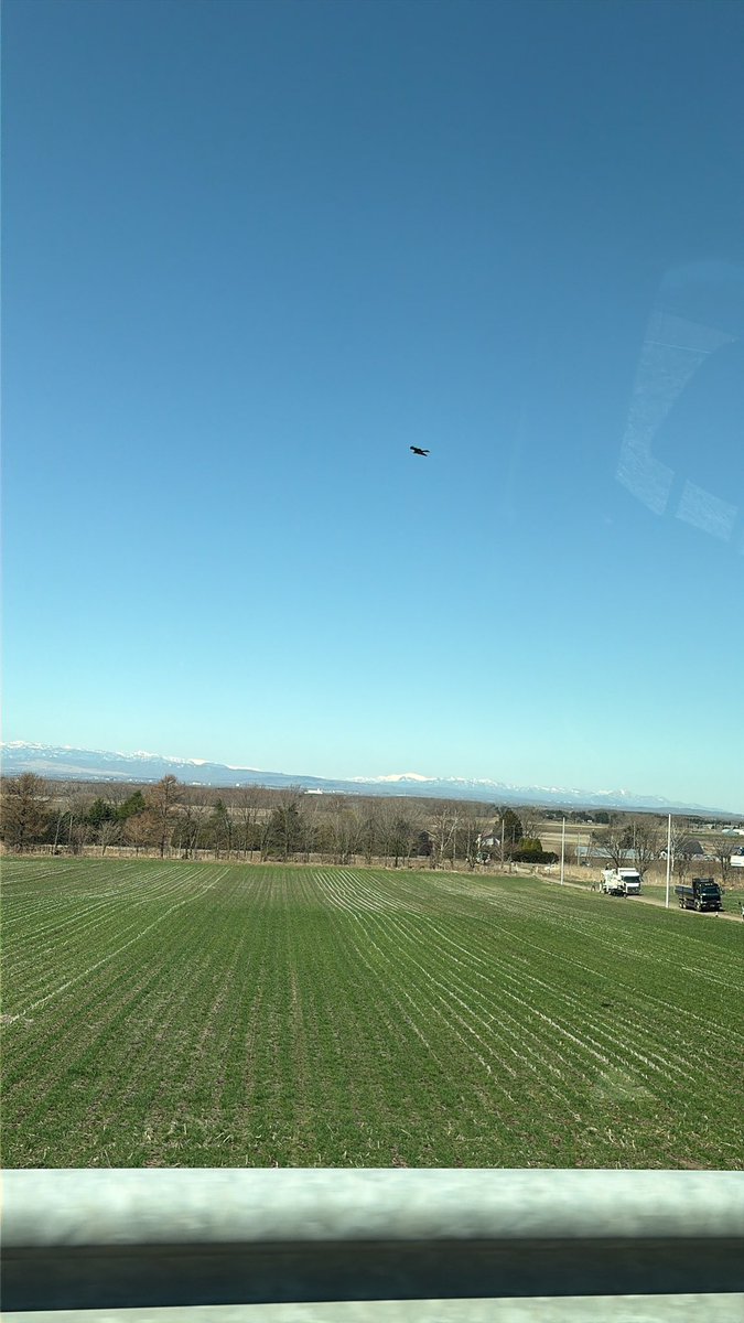 こてと❣️🤡🌟 tweet media