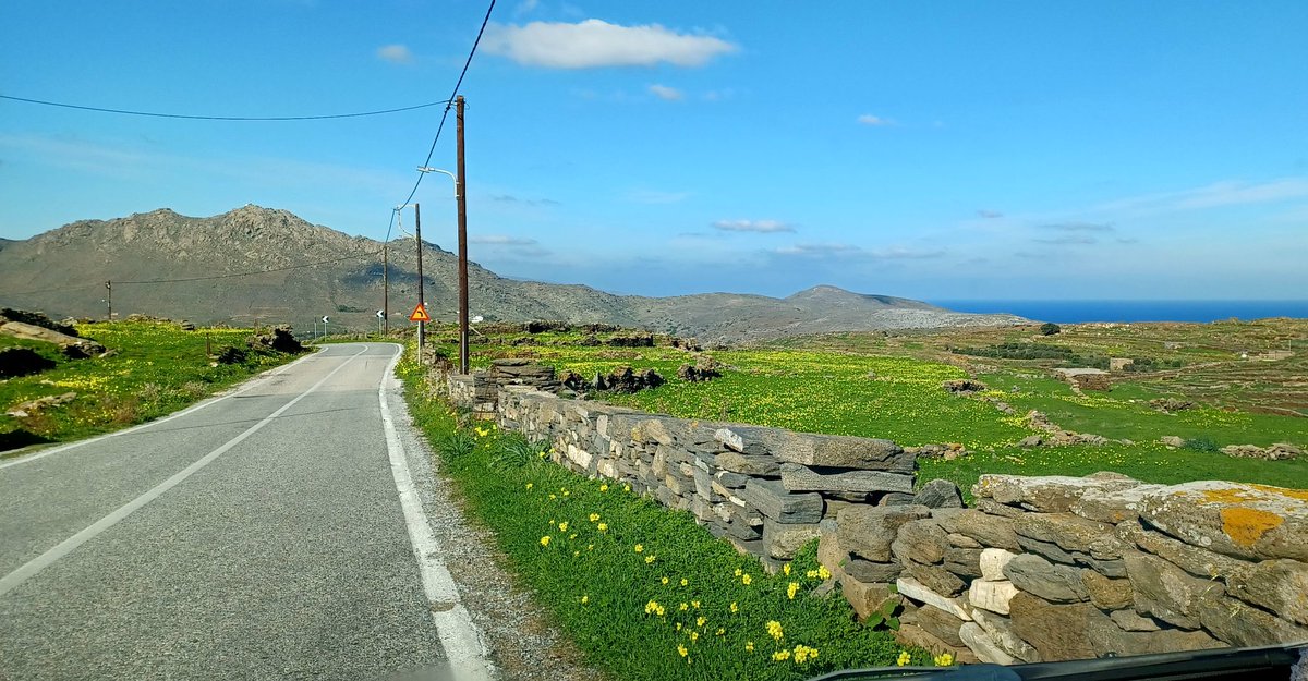 Tom de Belfore tweet media