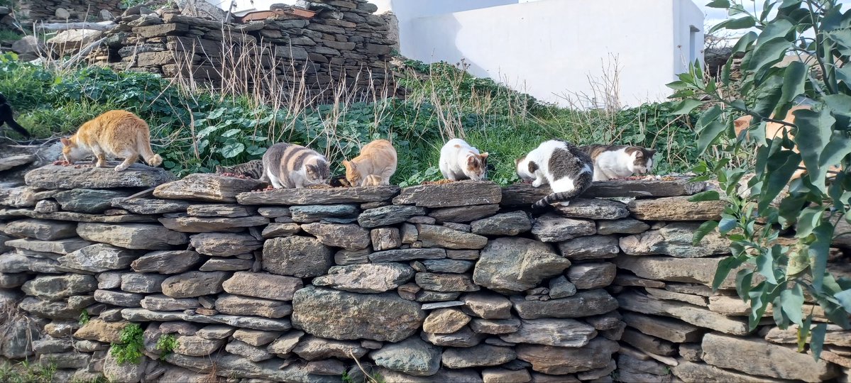 Tom de Belfore tweet media