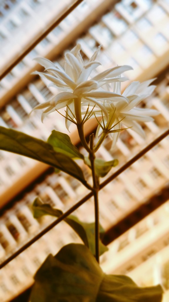 t h e P V R 2.0 tweet media