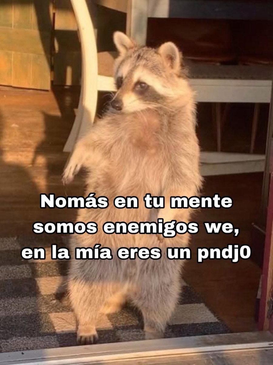 Cap Briagowsky tweet media