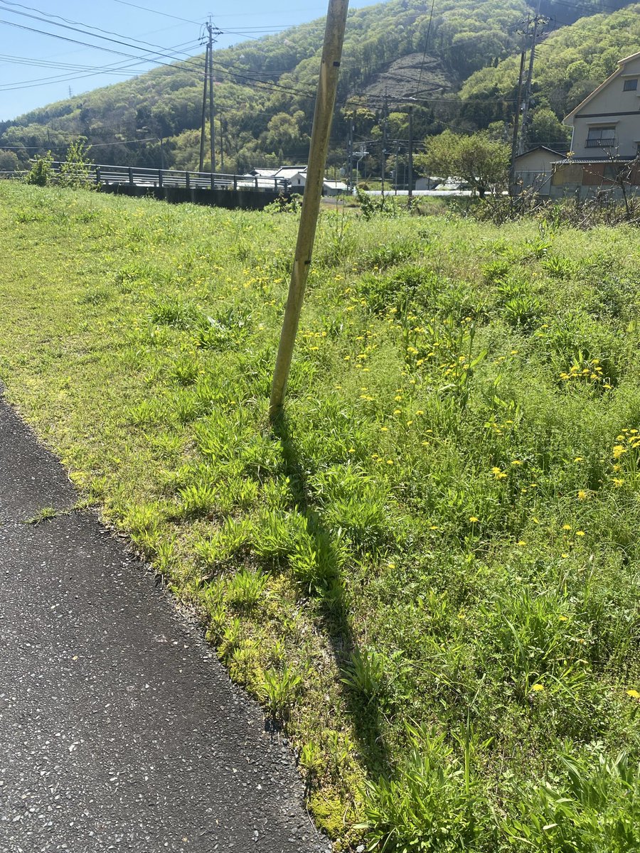 べらぼー♂ tweet media