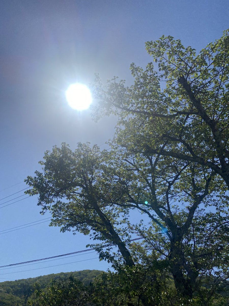 べらぼー♂ tweet media