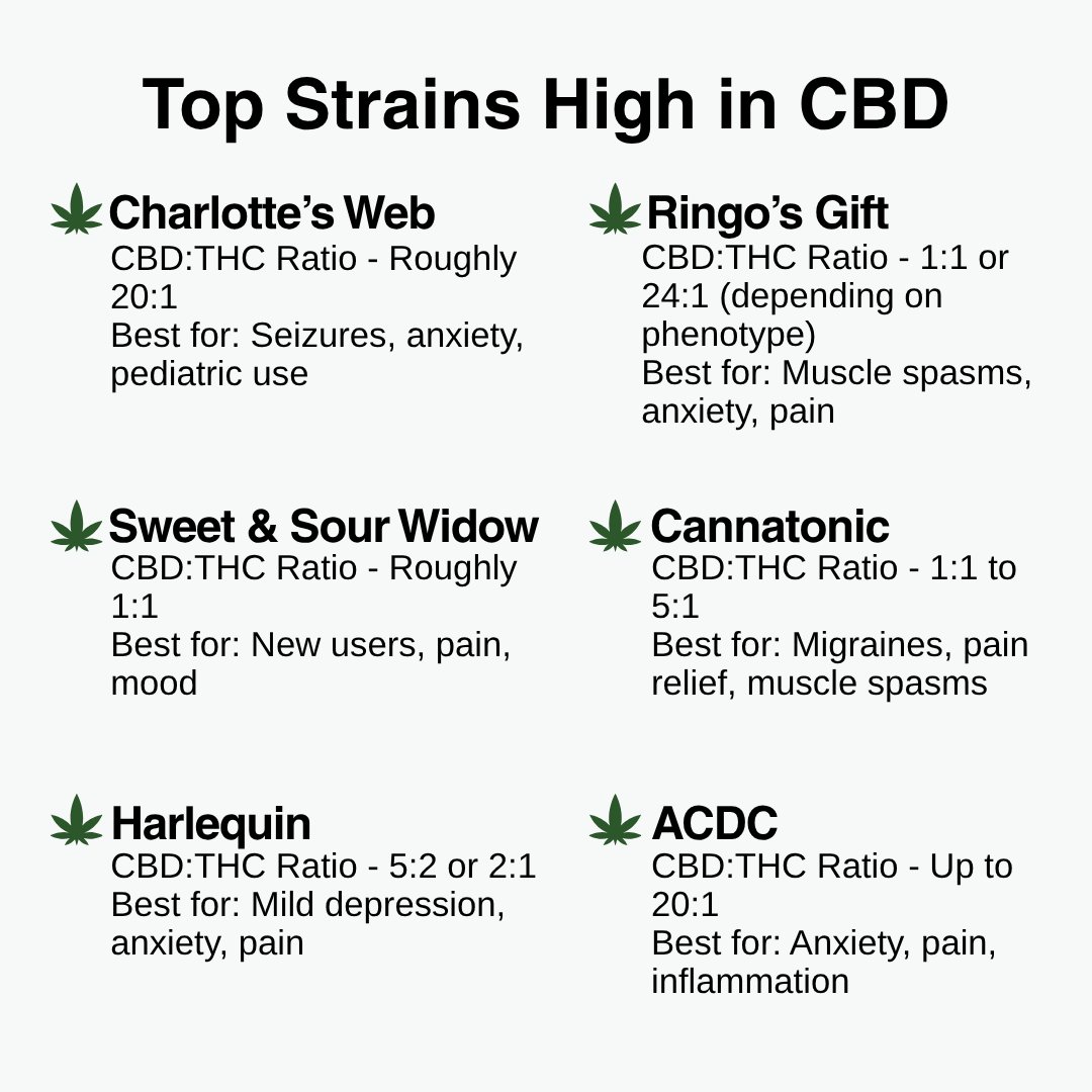 Cannabis Training University tweet media